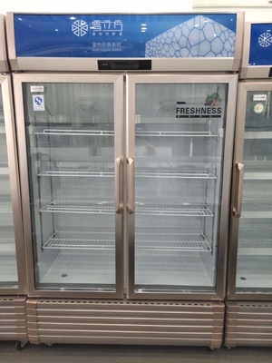Gold Series Double Door Refrigerator Glass Door