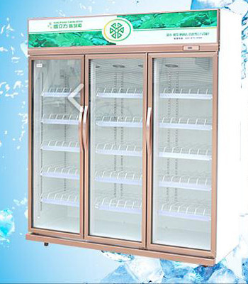 Supermarket Convenient Store Cold Drinks Chiller Visi Cooler