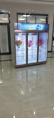 Supermarket Convenient Store Cold Drinks Chiller Visi Cooler