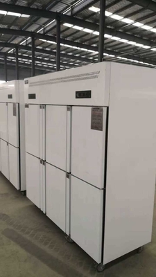 Stainless steel six door double temperature freezer  large capacity